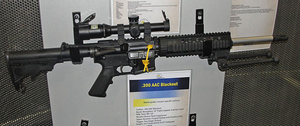 Armalite 300 BLK Rifle