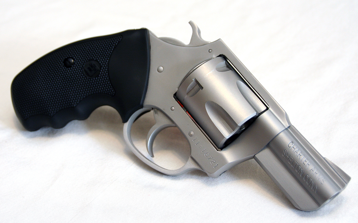 Charter Arms Pitbull revolver