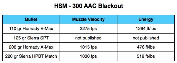 HSM 300 AAC Blackout Ammo Table