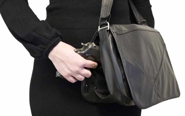 Hide and Chic holster purse