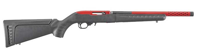 Ruger 10-22 Takedown Lite rifle